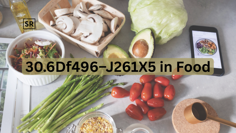 What is 30.6df496-j261x5 Meaning & Uses Explained